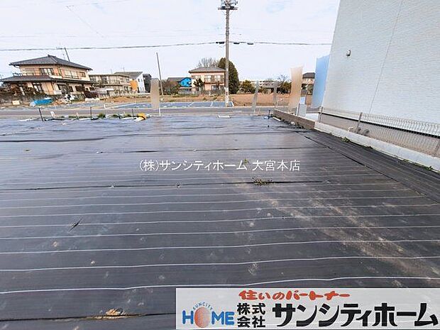 撮影日(2026-03-09 00:00:00)