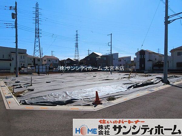撮影日(2026-03-11 00:00:00)