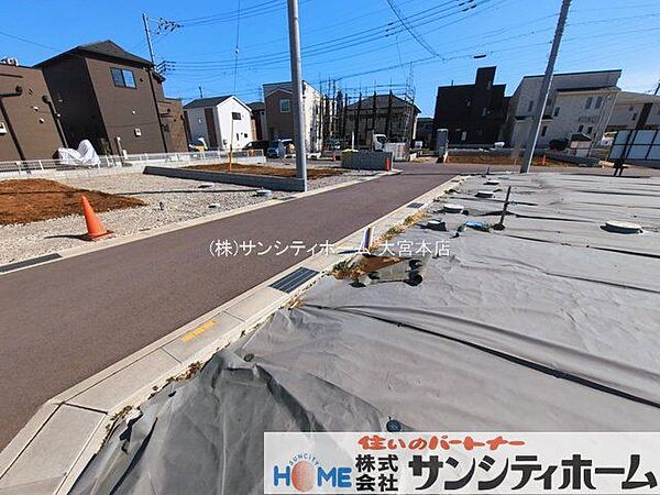 撮影日(2026-03-11 00:00:00)