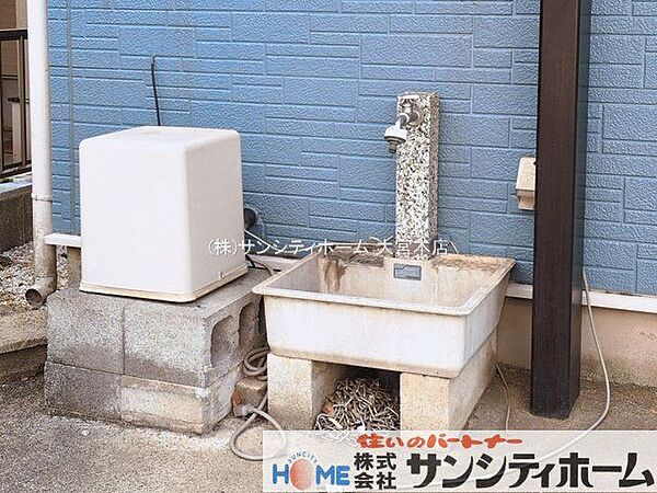 撮影日(2026-03-17 00:00:00)