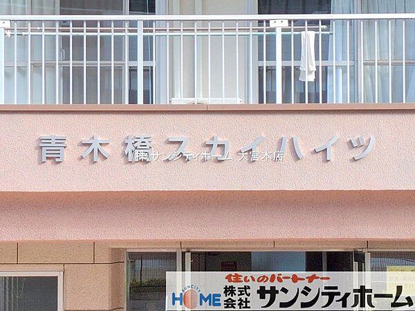 撮影日(2025-11-10 00:00:00)