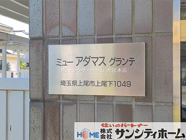 撮影日(2026-04-08 00:00:00)