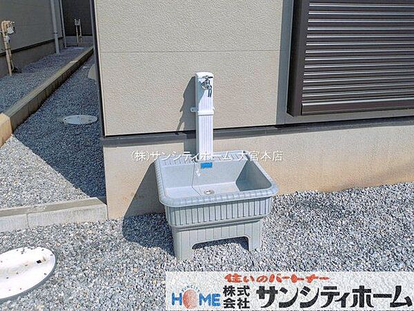 撮影日(2026-06-10 00:00:00)