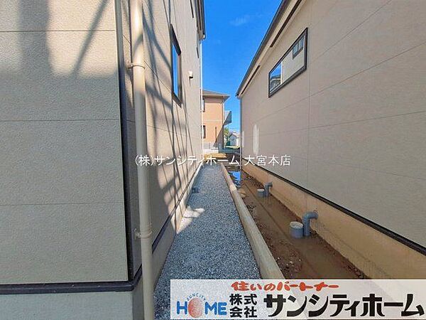 撮影日(2026-06-10 00:00:00)