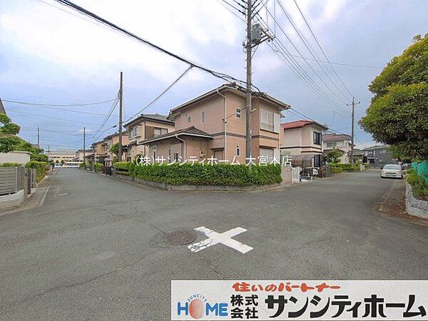 撮影日(2026-06-22 00:00:00)
