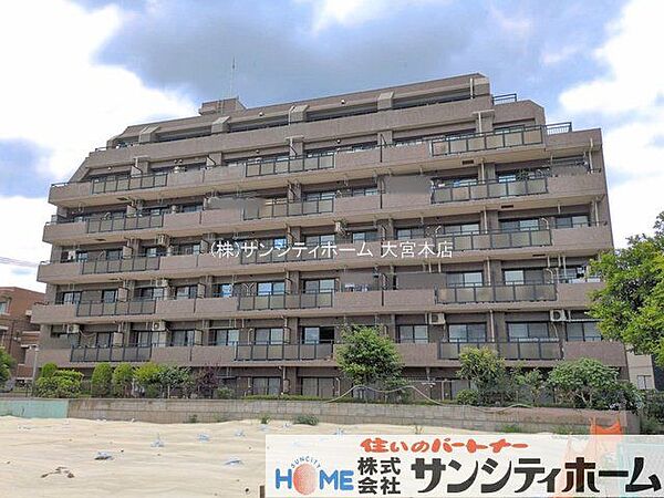 撮影日(2026-06-24 00:00:00)