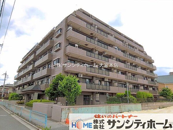 撮影日(2026-06-24 00:00:00)