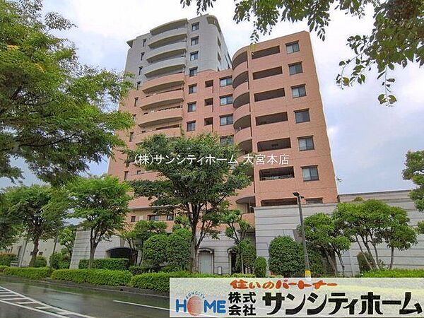 撮影日(2026-06-26 00:00:00)