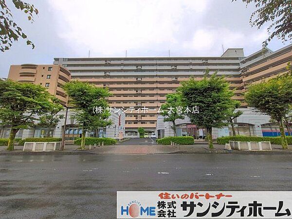 撮影日(2026-06-26 00:00:00)