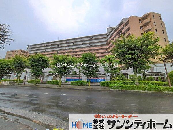 撮影日(2026-06-26 00:00:00)