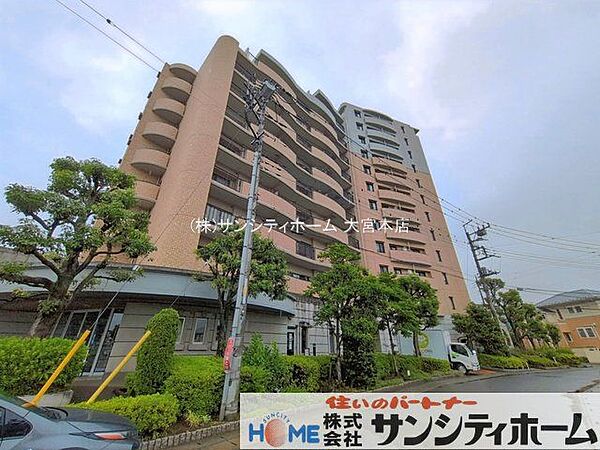 撮影日(2026-06-26 00:00:00)