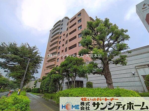 撮影日(2026-06-26 00:00:00)