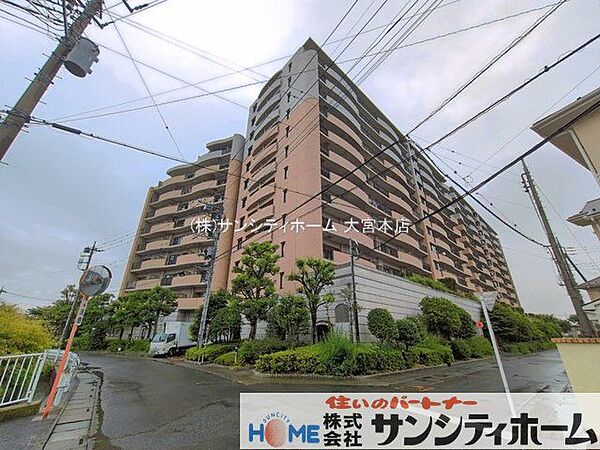 撮影日(2026-06-26 00:00:00)