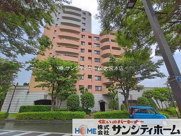 撮影日(2026-06-26 00:00:00)