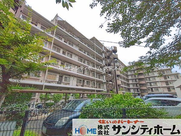 撮影日(2026-08-03 00:00:00)