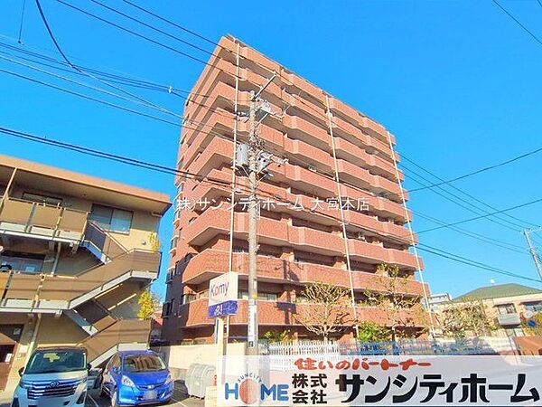 撮影日(2025-11-17 00:00:00)