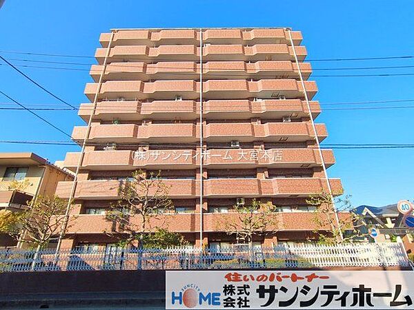 撮影日(2025-11-17 00:00:00)