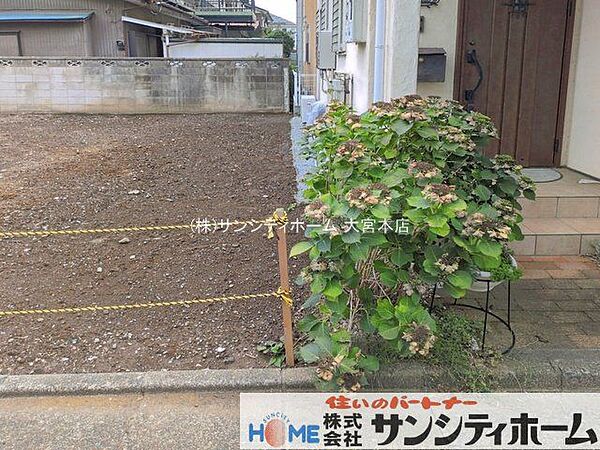 撮影日(2026-08-18 00:00:00)