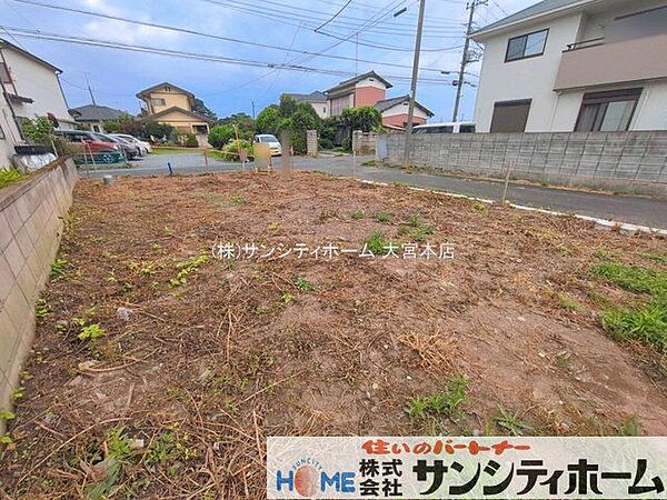 撮影日(2026-08-21 00:00:00)