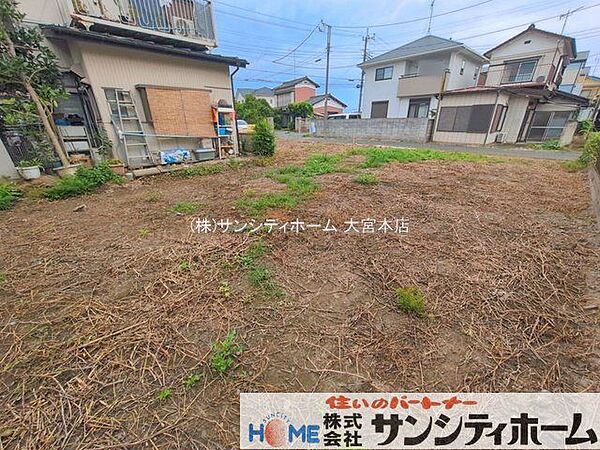 撮影日(2026-08-21 00:00:00)