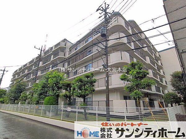 撮影日(2026-09-11 00:00:00)