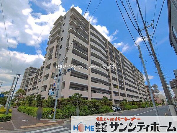 撮影日(2026-05-12 00:00:00)