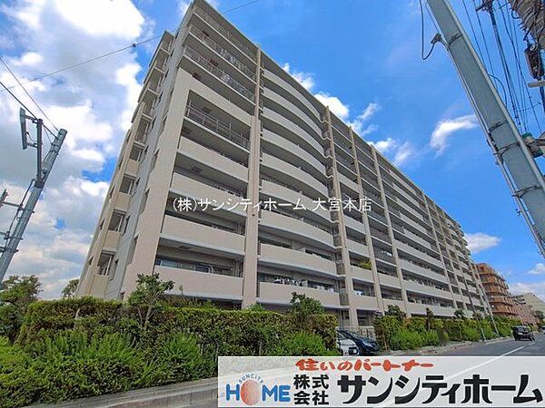 撮影日(2026-05-12 00:00:00)