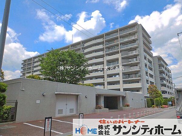 撮影日(2026-05-12 00:00:00)