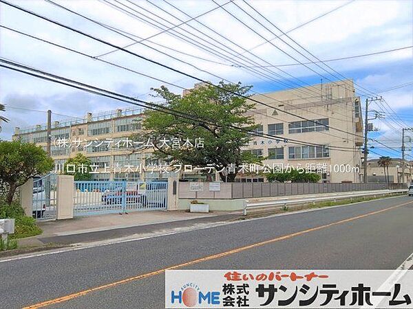 川口市立上青木小学校 撮影日(2026-06-23) 1000m