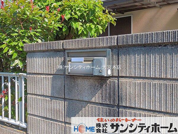 撮影日(2026-05-13 00:00:00)