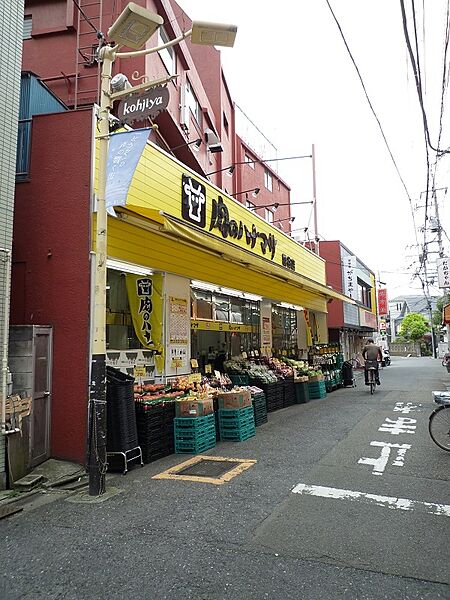 にくのハナマサプラス　距離８５０ｍ