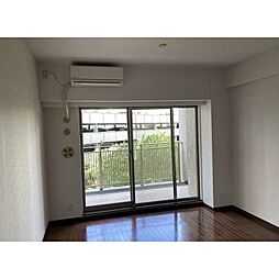 ブラウトリエ 317