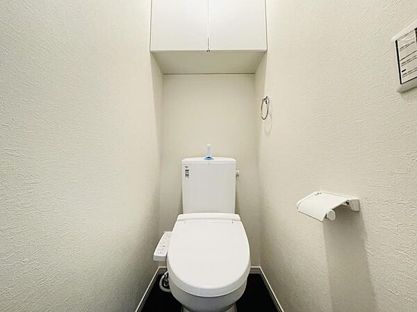 トイレも背面に戸棚があり、トイレットペーパーなどを保管できます。