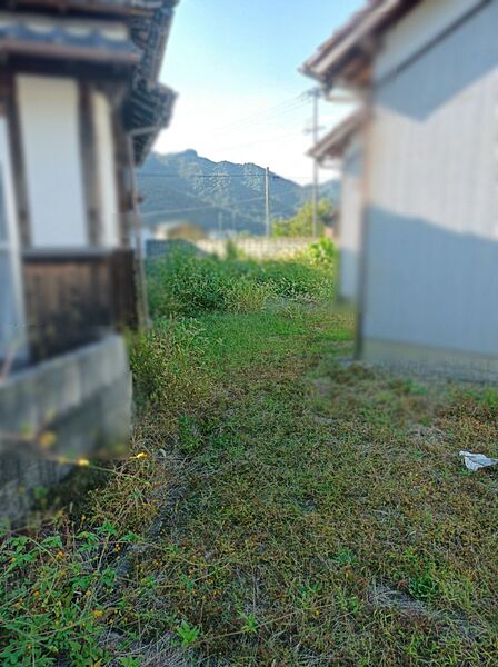 外観（南側から敷地内へ）