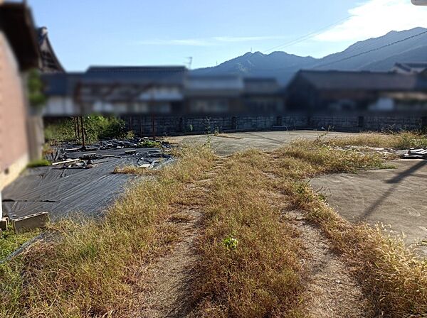敷地内（駐車場）