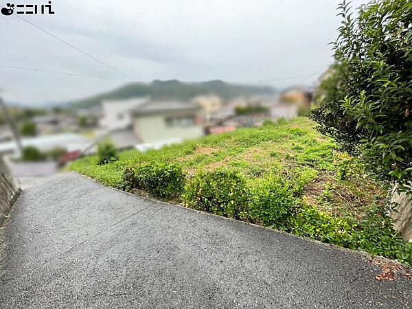 外観：328000392332