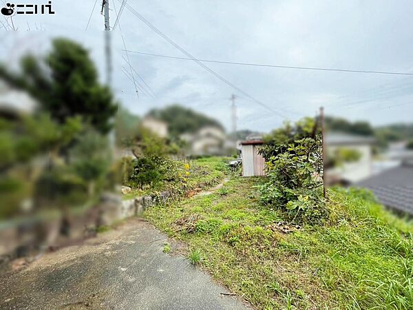 土地外観