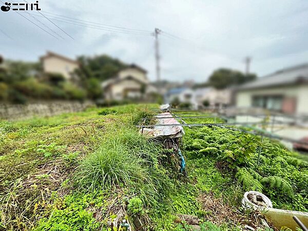 土地外観