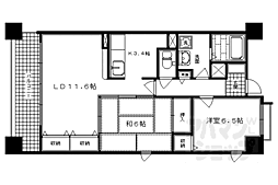 メゾン油小路 2階/202