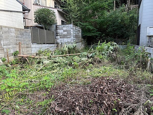 自然豊かな環境に位置する物件です。周囲は緑が多く、落ち着いた住環境をお求めの方におすすめです。現況渡しとなります。