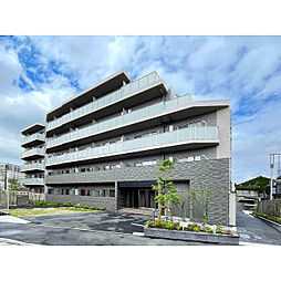 アルファコート亀戸2 507