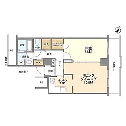 トルナーレ日本橋浜町 36階1LDKの間取り