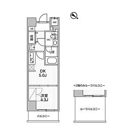 コンフォリア・リヴ志村三丁目 1DKの間取図画像