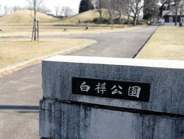 白樺公園 490m