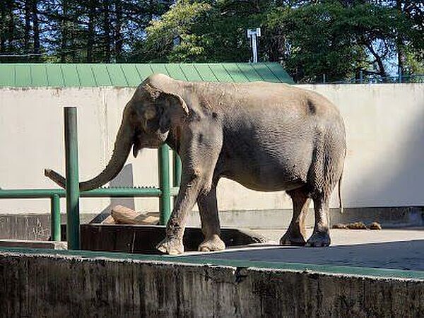 おびひろ動物園 1070m