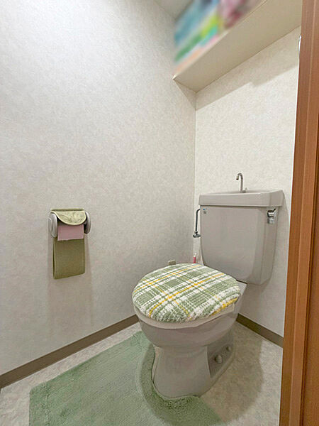 洗剤やトイレットペーパーのストックなどもしまっておける棚付きです