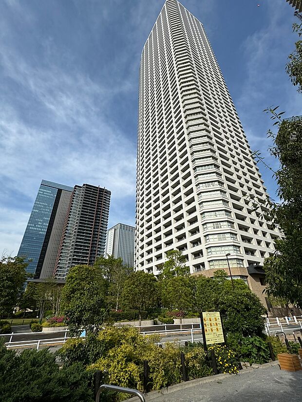 ザ・パークハウス西新宿タワー60(1DK) 47階のその他画像