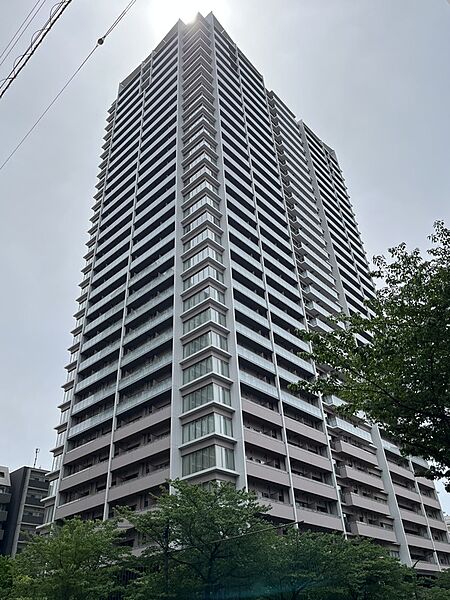 外観：313004363772