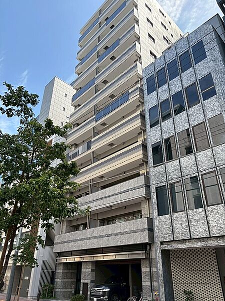 外観：313004698547