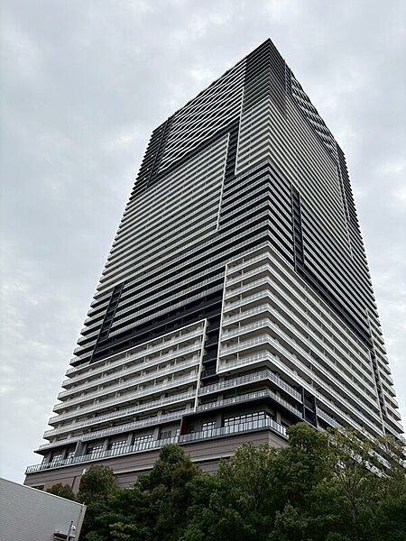 外観：313004741730